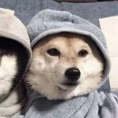 超可爱的动物系列情侣头像/快收藏吧78