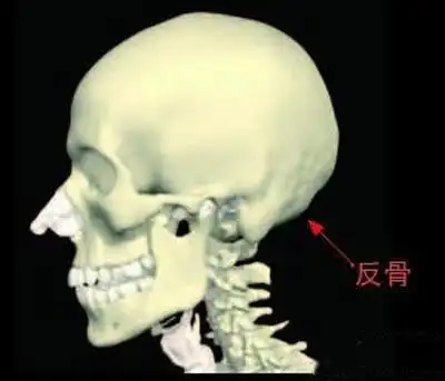 最不可交面相之耳后见腮,忘恩负义为达目的不择手段
