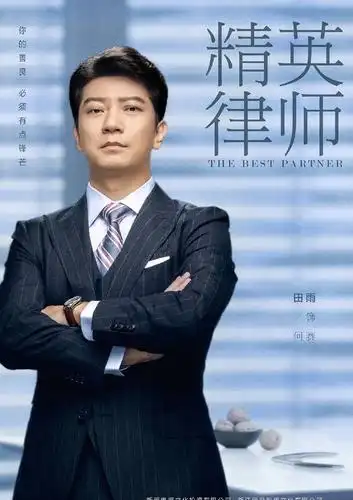 精英律师谁演的,精英律师的扮演者罗槟资料介绍-晨光影院