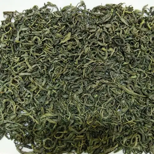 陕西陕南茶叶汉中绿茶西乡绿茶西乡特炒炒青茶浓香耐泡250g