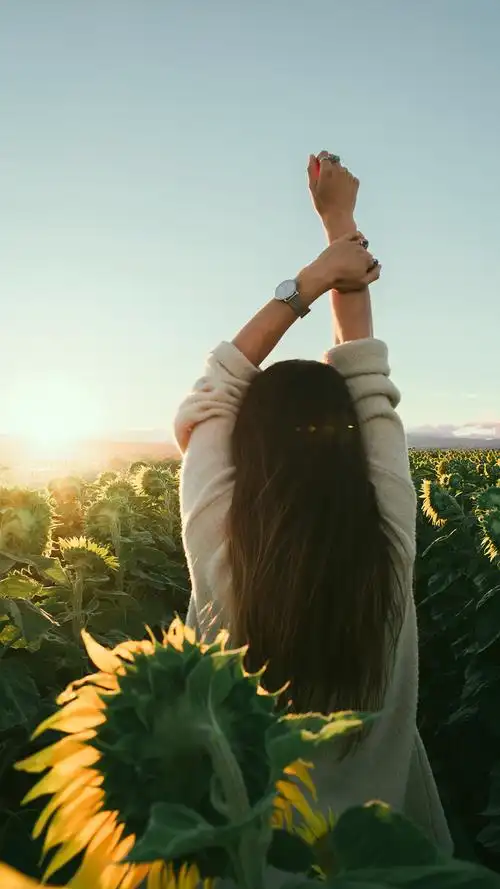 来夕如澄霁,清风不负期