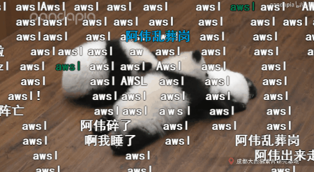 名场面:一起叠熊猫呀;小狐狸;书记舞;萌萌哒的祢豆子作为年度最佳弹幕