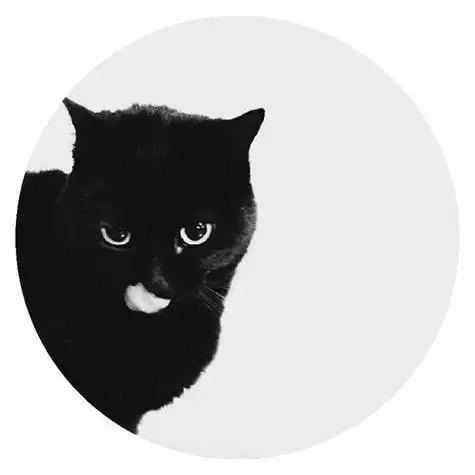 圆形图片头像女生头像霸气 霸气头像图片大全 -【爱个性】