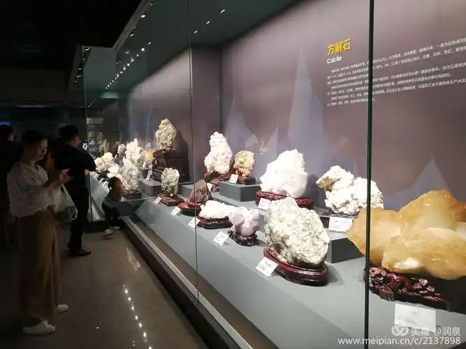 身边的风景一一走进地质博物馆 - 美篇