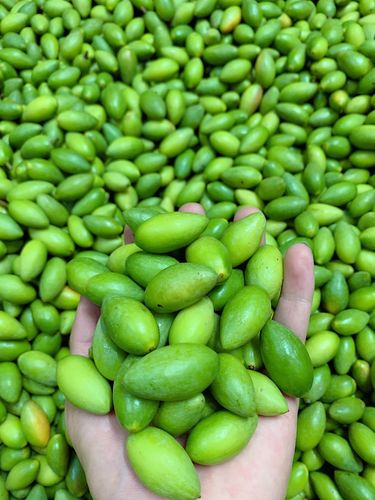 橄榄潮汕金灶甜种新鲜现摘生吃香甜无渣热带其它