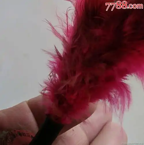 80年代羽毛毽子(6,7,8的玩具,80年代有限公司产)