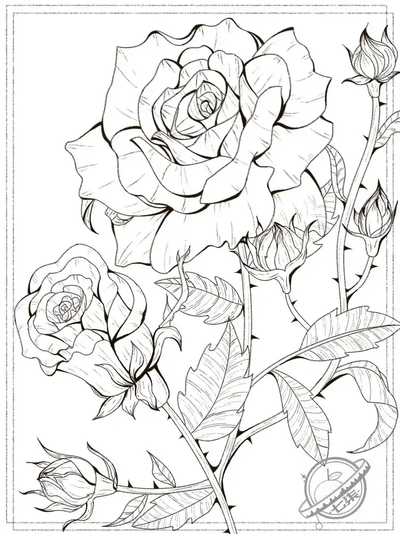 玫瑰花线稿#板绘 #插画 #玫瑰花#花朵 - 抖音