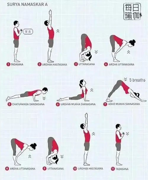 3分钟的瑜伽拜日式,为什么会有这么神奇的效果?