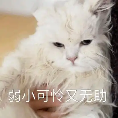 惊恐到模糊!凑合着过呗!弱小可怜又无助!