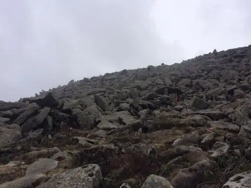 鳌太其中一名死者