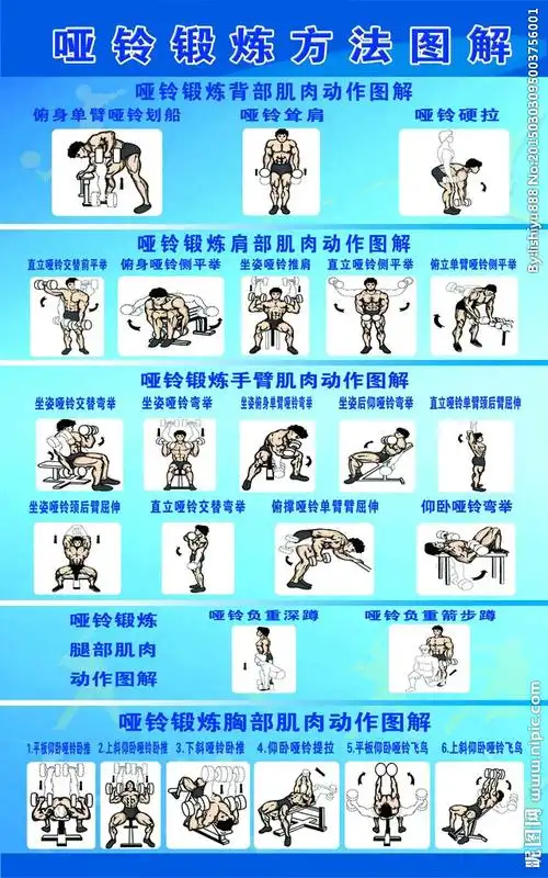哑铃锻炼图解图片
