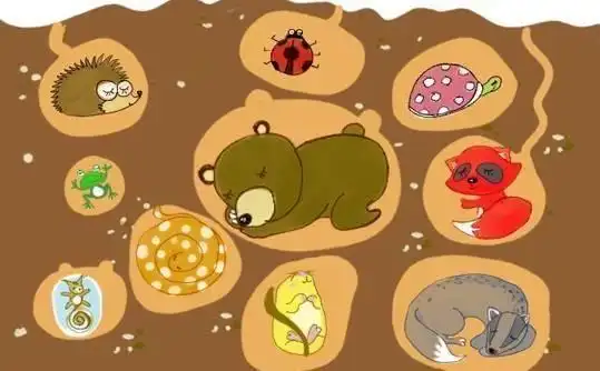 冬眠动物大全,冬眠的小动物名单?