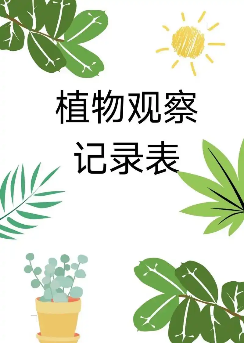 幼师必备|植物角观察记录表 封面77记录表
