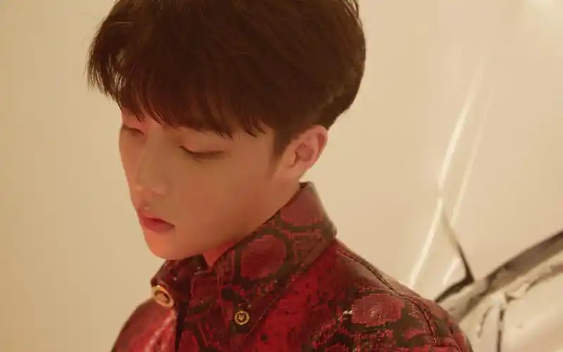 陈立农图片wuli农农认真的模样很帅气