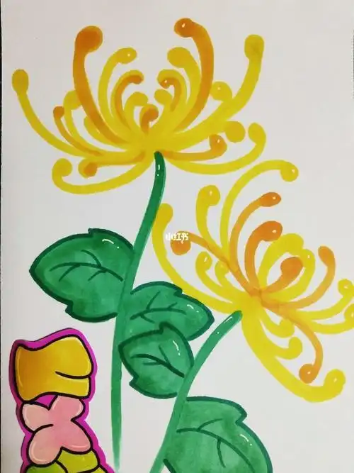 菊花怎么画 菊花怎么画简笔画