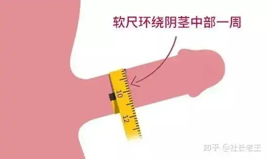 性爱中丁丁真的是越大越好