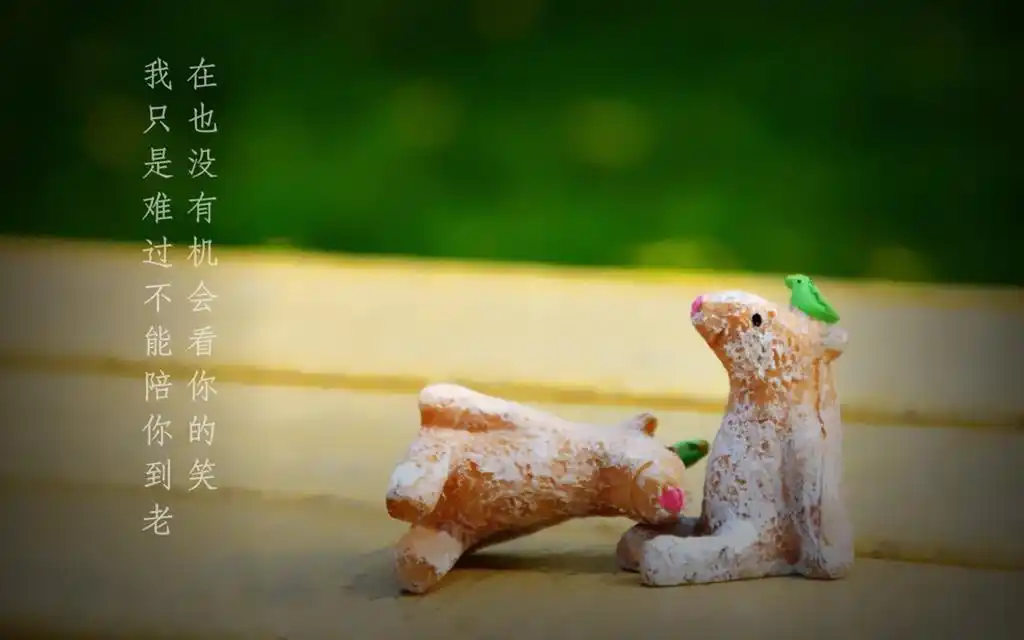 安静地等待爱情文字高清壁纸