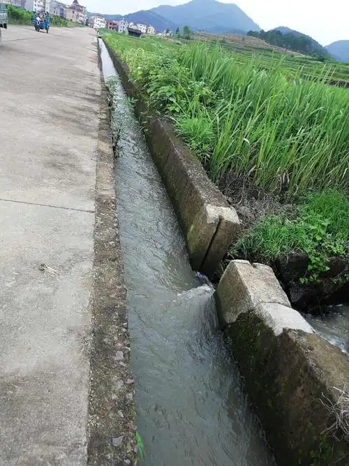 3,景山水库渠道灌溉.