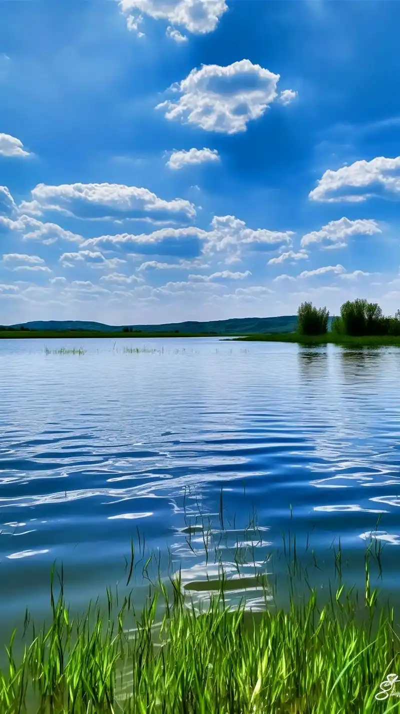 若尔盖花湖——天边若诗若画,它被评为"中国最美的湿地"(中国 - 抖音