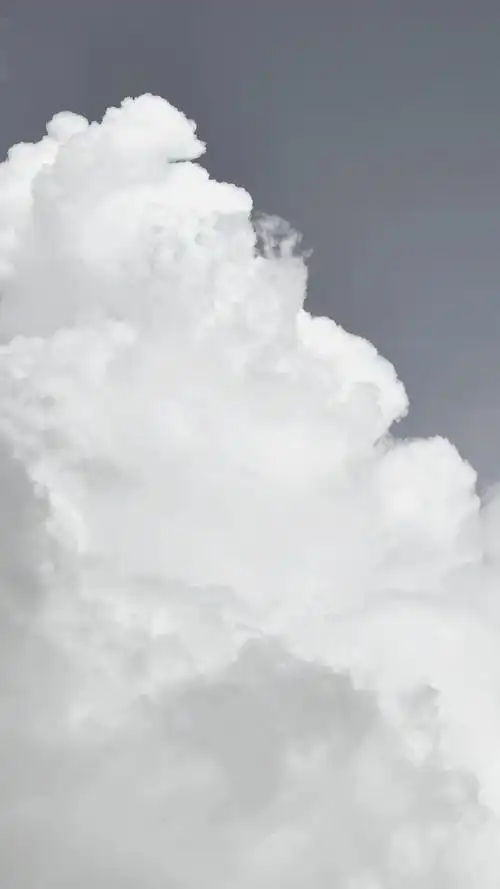 唯美白色系小清新静物