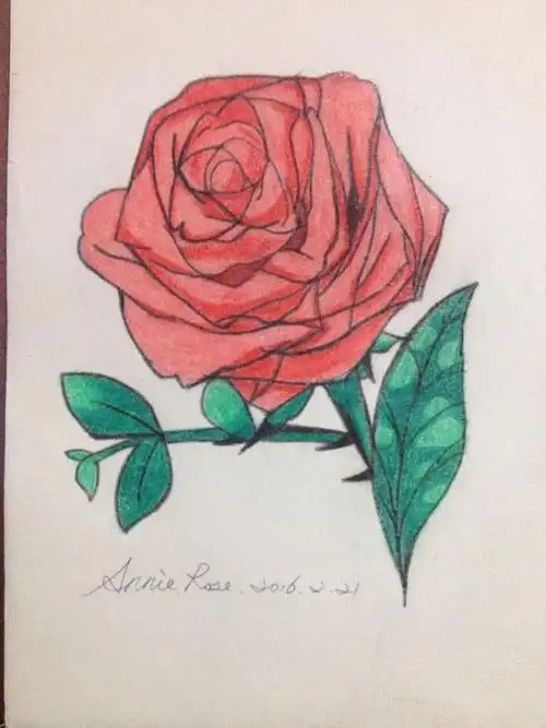 春天来了素描一张蔷薇花