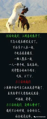 80后,80后,80后,80后,80后