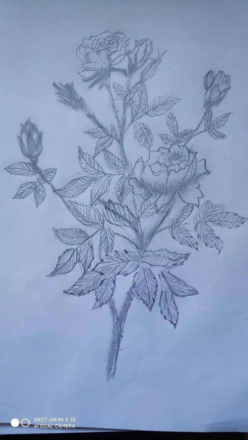 #愉快的周末时光 #享受这悠闲时光 亲们我画的素描画好看吗? - 抖音