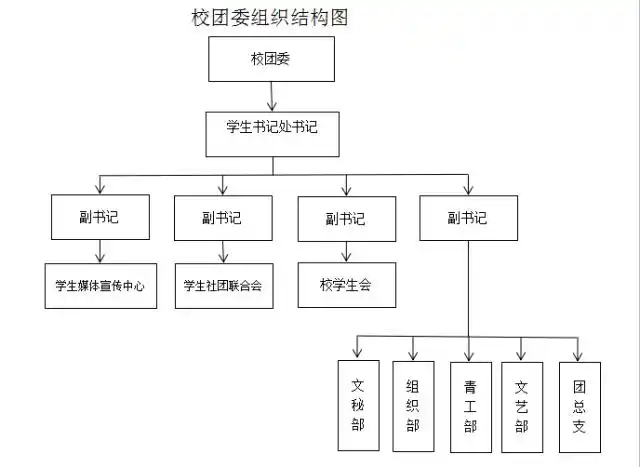 校团委组织结构图