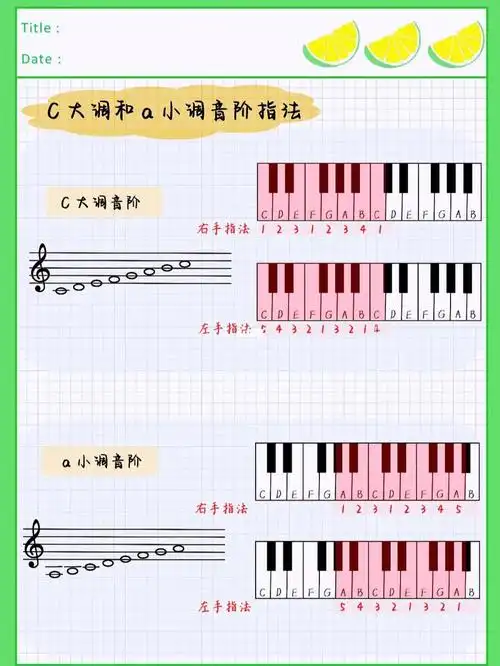 乐理小白钢琴小白c大调a小调音阶指法