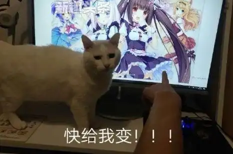快给我变是什么梗 快给我变猫娘表情包
