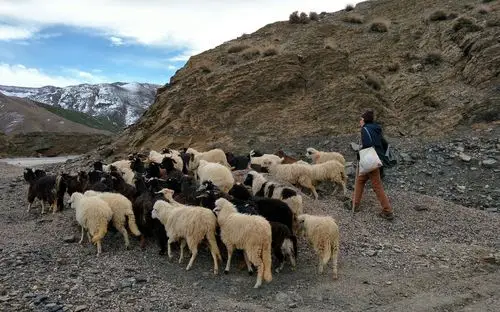 三毛的撒哈拉与北非的雪山
