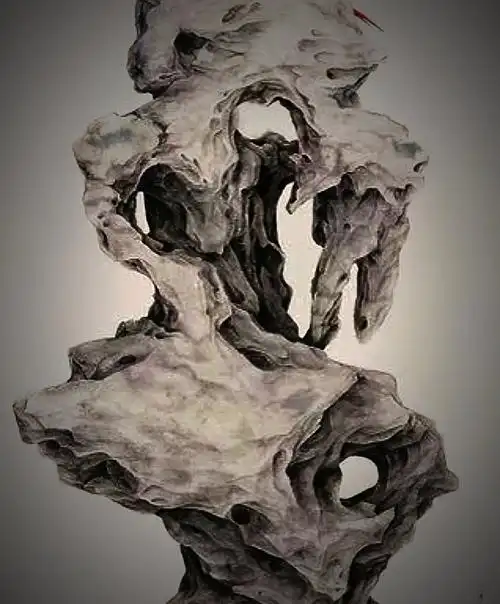 太湖石的特点 太湖石特点有哪些-起航号