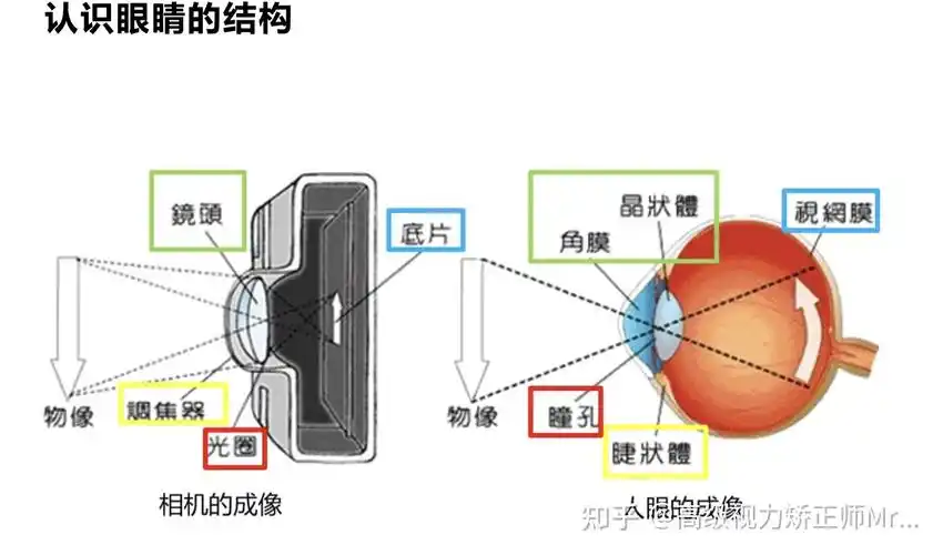 孩子为什么近视你真的了解近视吗