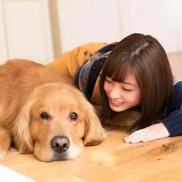 桥本环奈与狗狗合影 粉丝大赞千年一遇的写真