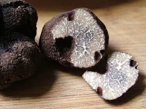 舌尖上的云南: 细数云南最知名的10种野生菌!