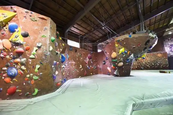 室内攀岩:挑战身体与解锁智力