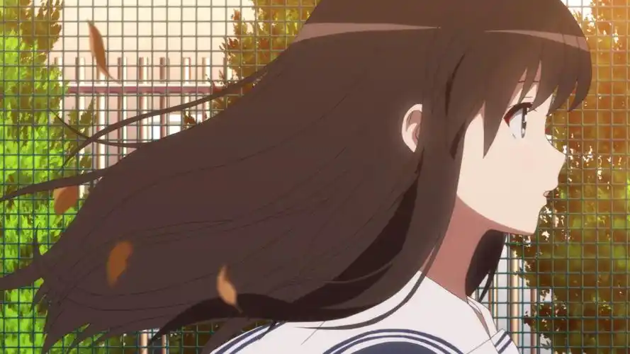 kato megumi 加藤惠 - 堆糖,美图壁纸兴趣社区