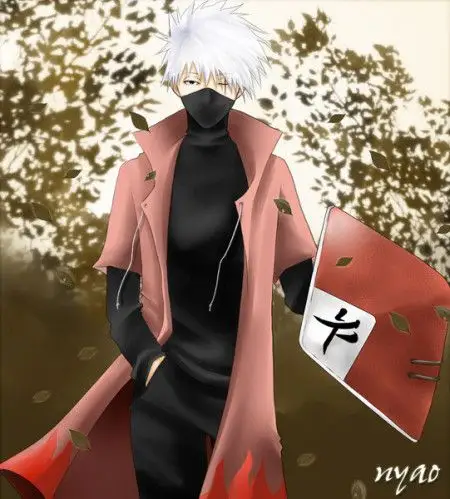 谁有卡卡西传火影火影衣服的图片?