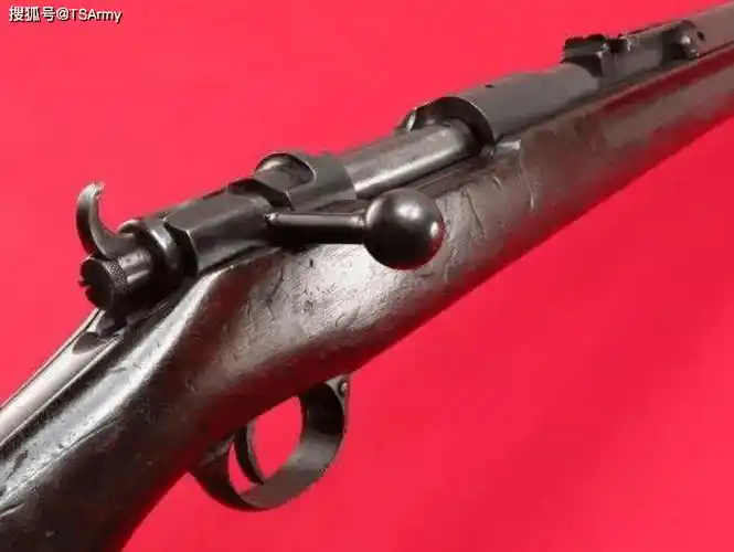 八国联军进北京的时候,洋鬼子们用的都是啥步枪?