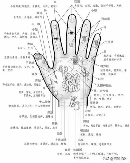 手掌全息图,发现手中藏在的健康隐患!