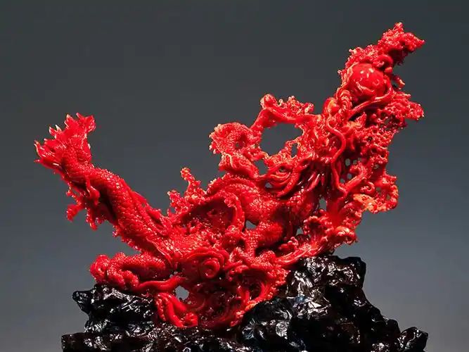 momo珊瑚戒指咨询客服