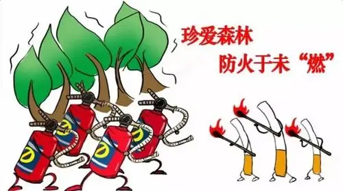 春季防火 幸福你我 宝塔河庄坪三宝双喜幼儿园 森林防火致家长的一封