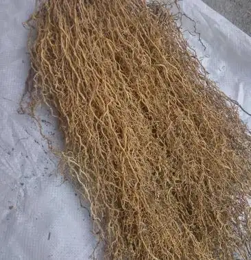 天然野生中草药材牛尾菜根