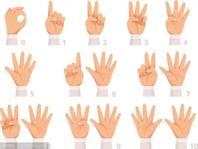 手势数字,手掌和手指显示