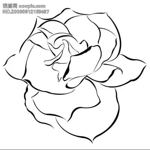 蓝玫瑰简笔画怎么画