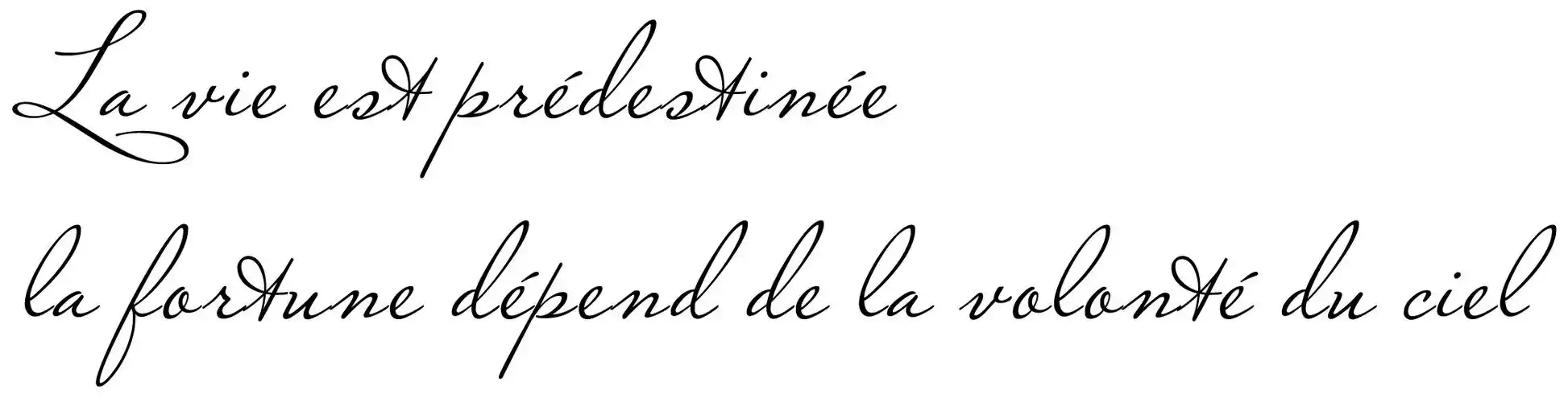想把下面的法文纹在身上, 有没有高手把这段字搞成好看的字体.