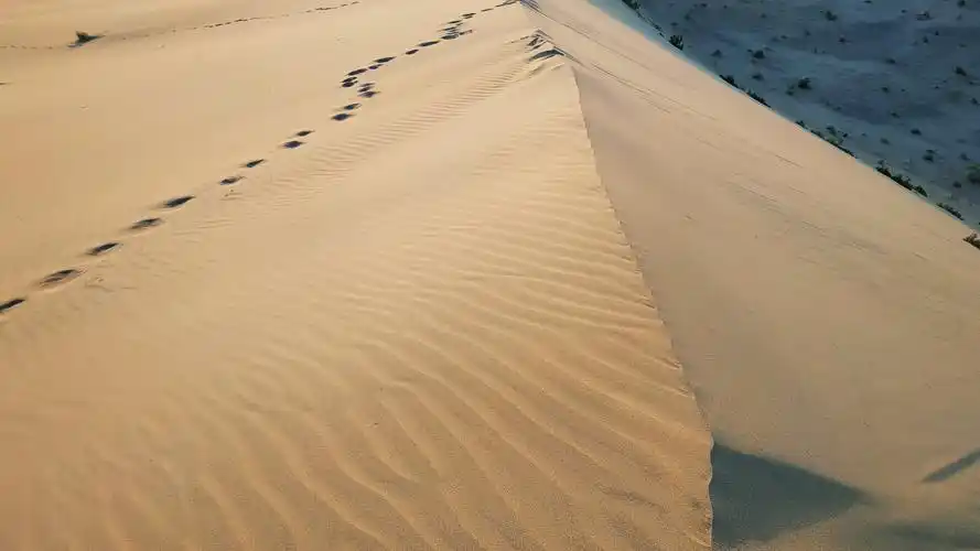 戈壁荒漠里的四天三夜