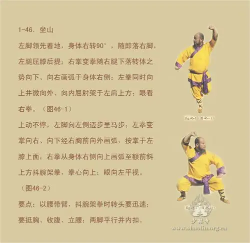 少林大洪拳第一节图解十三