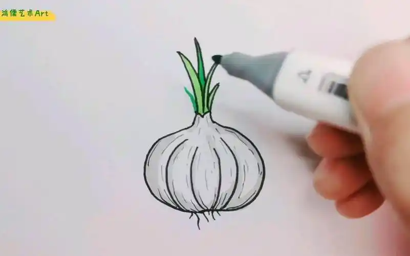 大蒜简笔画 大蒜简笔画图片带颜色