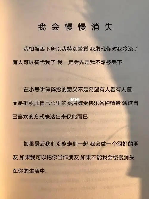 我会慢慢消失